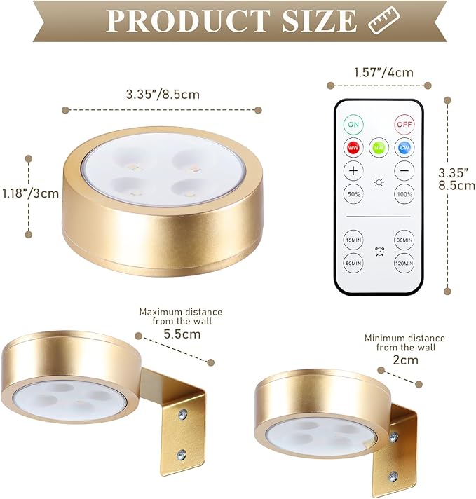 KELUOLY 2-Pack Picture Light Battery Operated Painting Lights