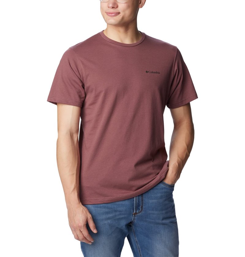 Columbia Men's Thistletown Hills Short Sleeve, Light Raisin, 1X Big