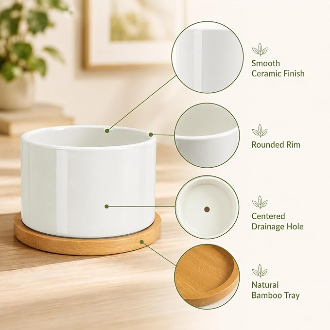 ZOUTOG Succulent Pots 3.15 Inch,4 Pack Succulent Planters,Small Pots for Plants with Drainage and Tray,White Ceramic Flower Planters for Indoor Plants,Home,Office,Desk