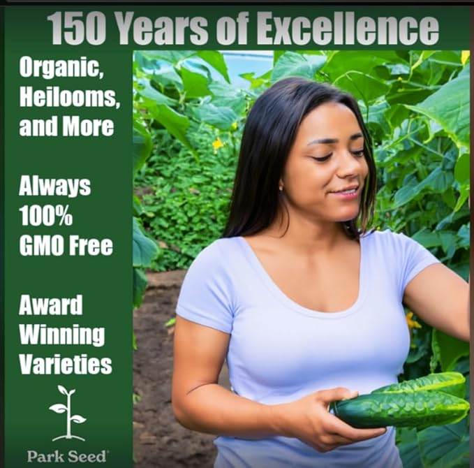 Park Seed Variety of Cucumber Seeds, Planting Cucumbers, Vegetable Seeds, Easy to Grow, Non-GMO, Perfect for Harvesting, Pick-a-Bushel Hybrid, Pack of 30