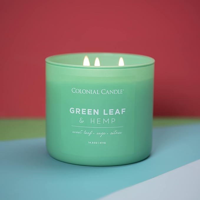 Colonial Candle Green Leaf & Hemp Scented Jar Candle, Pop of Color Collection, 3 Wick, Green, 14.5 oz - Up to 60 Hours Burn