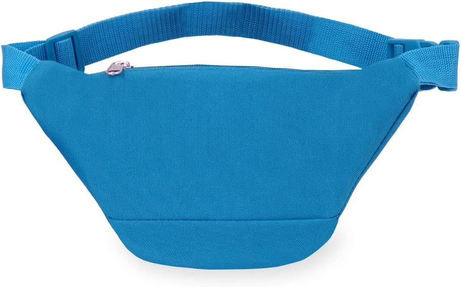 Turquoise Everest Signature Waist Pack - Standard Size for Active Adventures