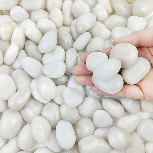 FANTIAN 20 lbs White Pebbles for Indoor Plants, 0.8-1.2 inch Small River Rocks for Plants. Decorative White Stones for Planters Vase Fish Tank and Outdoor Garden Landscaping Rocks