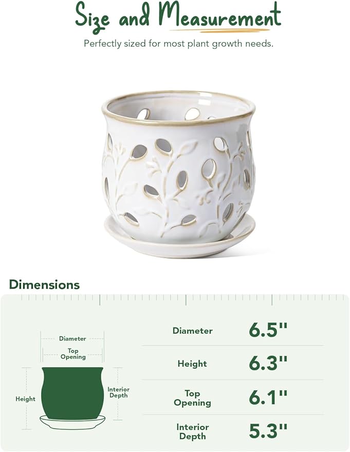LE TAUCI Ceramic Orchid Pot, 6.5 Inch Orchid Planter with Holes for Repotting, Indoor Flower Plant Pot with Drainage and Saucer, Arctic White