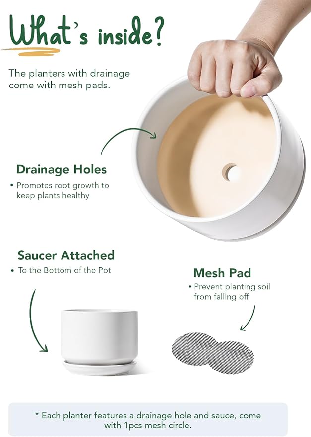 LE TAUCI Ceramic Pots for Plants, 6.8 Inch Plant Pots with Drainage Hole & Saucer, Modern Planter for Indoor Plants, Stable & Durable, Perfect for Living Room or Office Decor, White