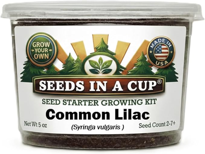 Seeds In A Cup® Lilac Grow Kit | Complete Seed Starter Set for Purple Flowering Lilac Bush | Includes Planter, Nutrient-Rich Soil & Non-GMO Seeds | Indoor Gardening Gift | Eco-Friendly Plant Kit