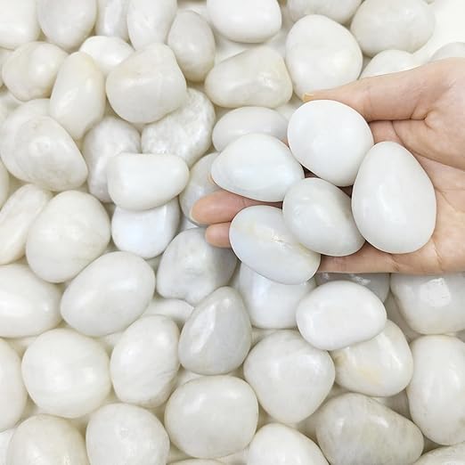 FANTIAN 2 lbs Polished White Pebbles for Pebbles, 1-2 Inch Smooth White River Rocks for Plants Potted Vases Fillers Fish Tank Landscaping and Outdoor Garden Decorative Rocks