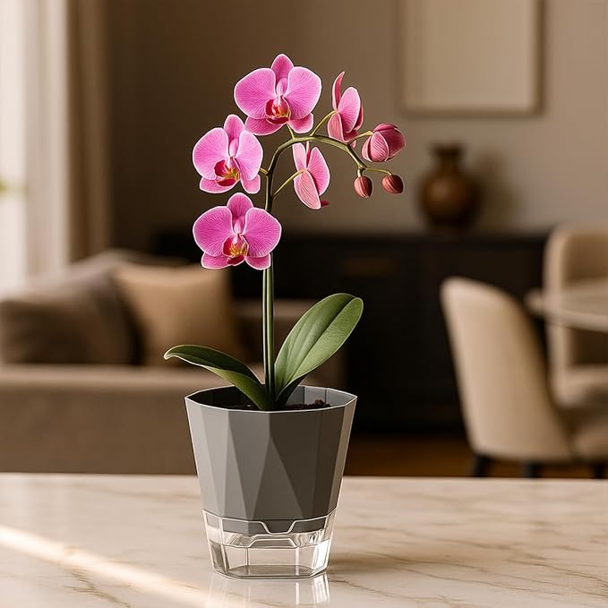 4 Pack Self Watering Pots for Indoor Plants, 10 Inches Self Watering Planters African Violet Pots Clear Pots for Herb Orchid Flower Houseplant, Dark Grey