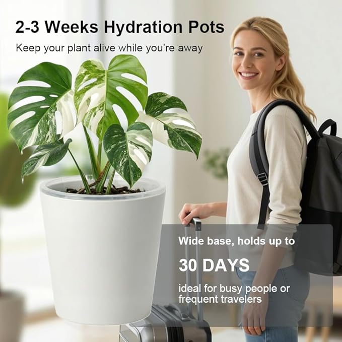 6 Pack of 6in Plastic Cachepot with 6 inch Clear nusery Pot - self Watering Indoor Planter with Drainage for Root Visibility,semi Hydro pots for repotting Monstera,Orchids,Aroid,White