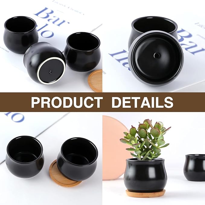 SHECIPIN 2 Pack Succulent Pots, 2.5 Inch Mini Ceramic Pots for Flower or Cactus Plants with Drainage Hole,Plants Not Included (Black)