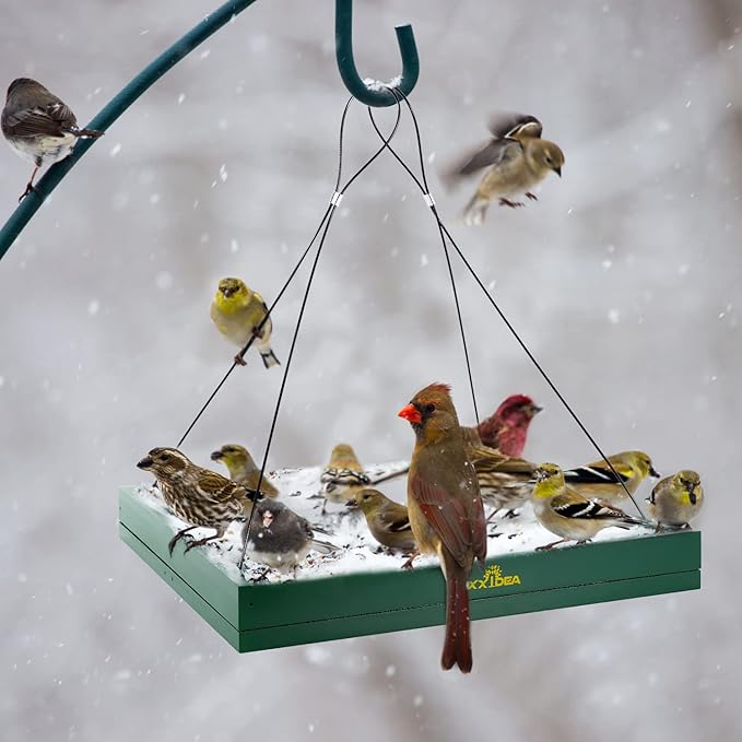 MIXXIDEA Bird Feeder Hanging Tray, Wooden Platform Hummingbird Feeder Hanging Tray Mesh Seed Platform for Garden Yard Outside Decoration Attracting Wild Birds (Green-2pk)