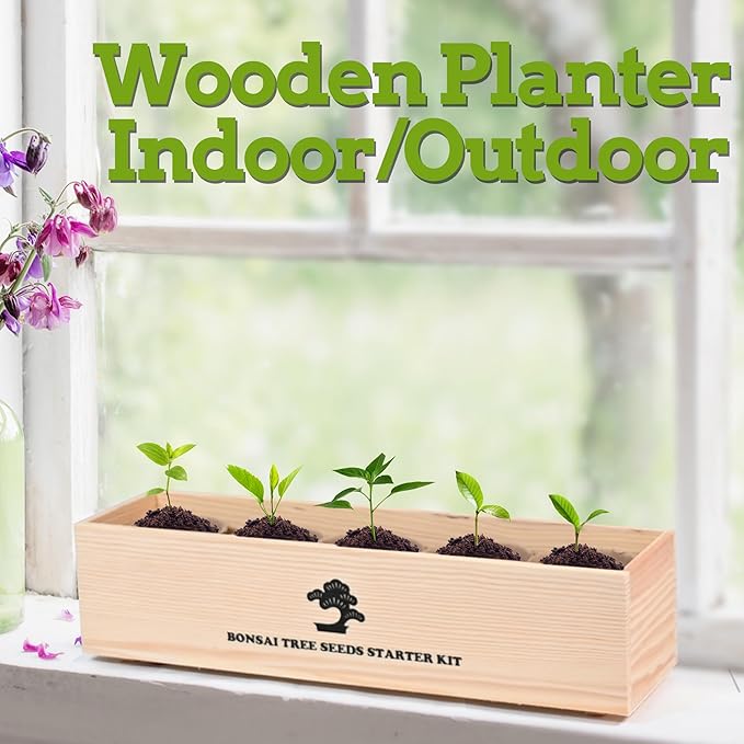 Indoor Bonsai Garden Starter Kit, 5 Seeds Growing into Red Maple, Wisteria, Black Pine, Judas Tree, Acacia, Including Complete Gardening Planters & A Planter Box for Women