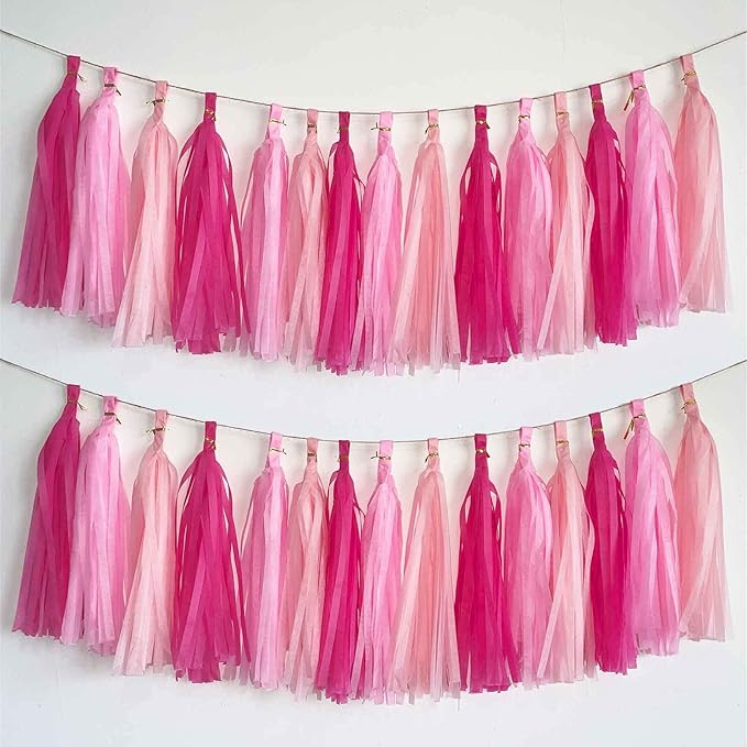 We Moment Hot Pink Light Pink Tissue Paper Tassels Party Tassel Garland Banner for Party Decorations, DIY Kits,15PCS