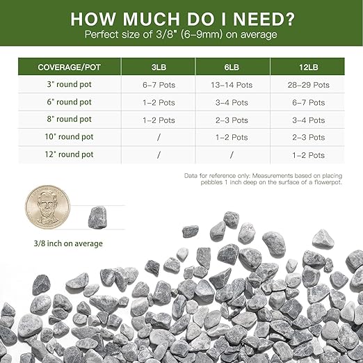 NUPICK 6 lbs Pebbles for Indoor Plants, 3/8 Inch Pea Gravel for Fish Tank, Decorative Rocks for Succulent, Natural River Stones for Vases, Cactus, Landscaping, Bird Bath, Aquarium, Grey