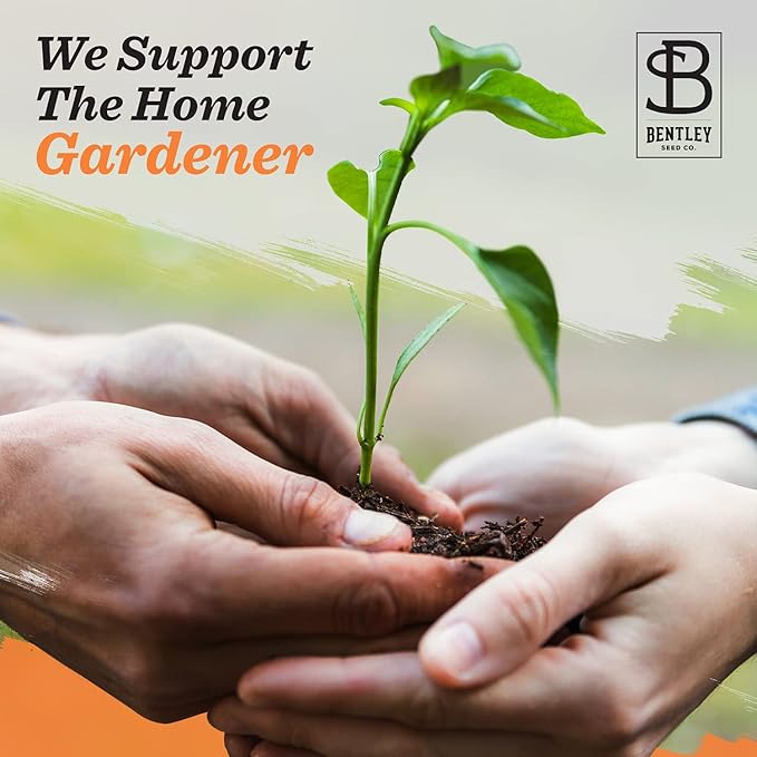 Bentley Seeds Growing Houses into Homes - Pre Filled Forget Me Not Garden Seed Packets - 25 Packed Forget Me Not Seed Packs - Perfect Realtor Gift for Prospecting or New Homeowners - Non GMO Seeds