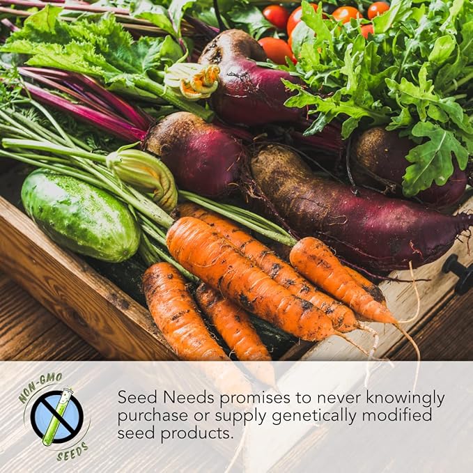 Seed Needs Rainbow Mixed Carrot Seeds to Plant Heirloom & Non-GMO 2 Packs