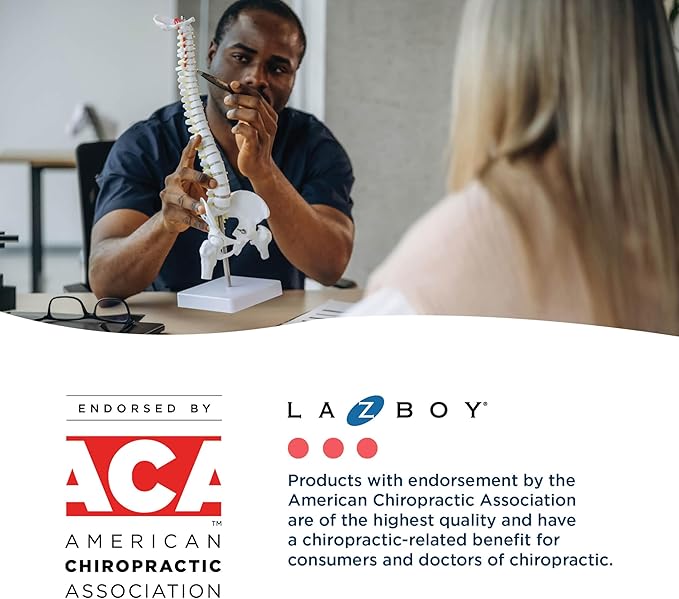 La-Z-Boy Sutherland Ergonomic Faux Leather Swivel Computer and Desk Chair, Black (CHR10048A)