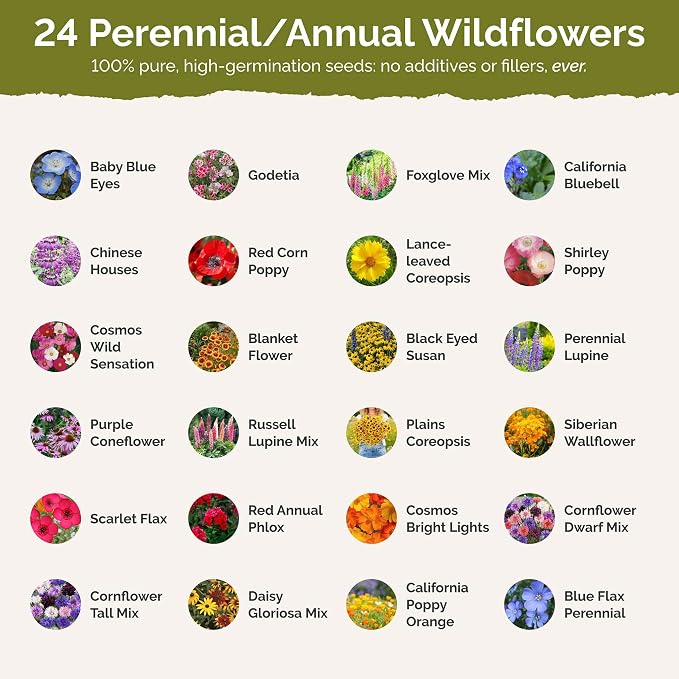 Eden Brothers Idaho Wildflower Mixed Seeds for Planting, 1/4 lb, 120,000+ Seeds with Foxglove, Cosmos | Attracts Pollinators, Plant in Spring or Fall, Zones