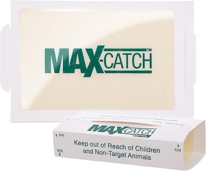 Catchmaster Max-Catch Mouse & Insect Glue Trap 36pk, Mouse Traps Indoor for Home, Sticky Pest Control Adhesive Tray for Catching Bugs, Bulk Classic Glue Boards