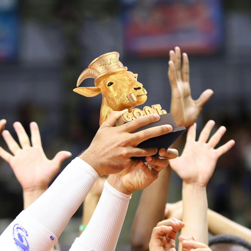Zhengmy Goat Trophy Winner Award G. O. A. T. Funny Gifts for Dad, Humorous Resin Statue Appreciation Recognition Plaque for Sports Office Employee Boss Coworker(Golden)