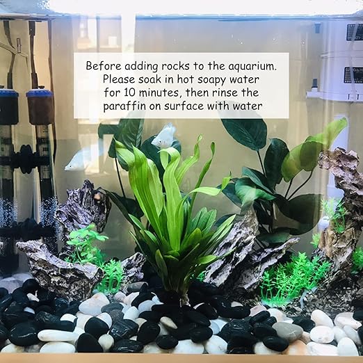 FANTIAN 40 lbs White River Rocks for Landscaping, 1-2 Inch Polished Pebbles for Indoor Plants, Decorative White Stones for Plants, Vase, Aquarium, Fish Tank and Garden
