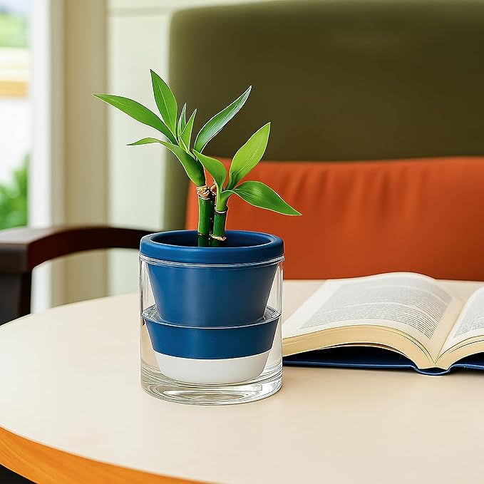 D'vine Dev 4 Inch Design Self Watering Planter for Indoor Plants, Blue Terracotta Pot with Cylinder Glass Cup, 37-X-A-4