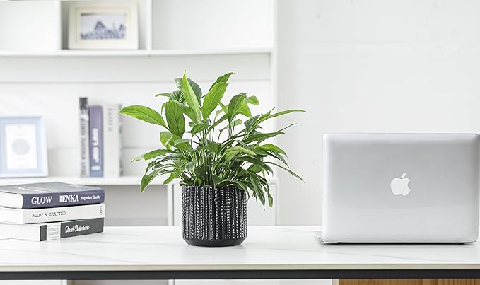 Ceramic Planter Pot with Drainage Hole, 5 Inch Dia, Indoor and Outdoor, Home Patio Garden, Plants Flower Succulent, Textured Round (Black)