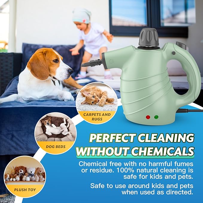 Handheld Steam Cleaner for Home, High-Pressure Chemical-Free Steamer with 10 Accessories for Deep Cleaning and Less Scrubbing on Kitchen Grease, Bathroom Tile, Grout, Floor and Couch(Green)