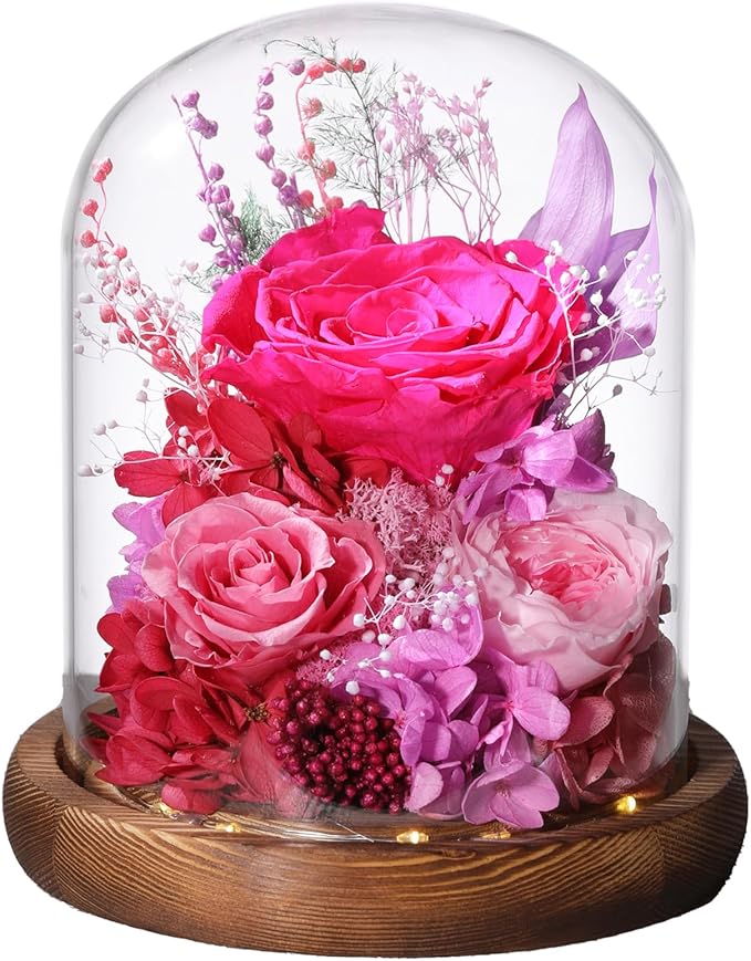 Flowers for Delivery Prime Preserved Flowers with LED Light in a Glass Dome,Long Lasting Real Roses Birthday Gifts for Women Daughter Mom Wife Friend（Reddish Rose）
