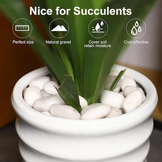 11LB River Pebbles Polished Gravel for Plants Natural White Plant Stones River Rocks 3/4-1 5/8 Inch River Stones for Landscaping Small Pebbles for Crafts