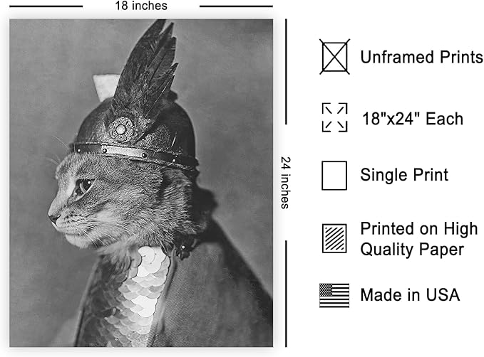Poster Master Vintage Armored Cat