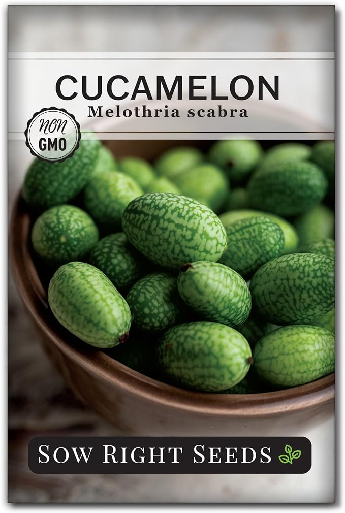 Sow Right Seeds - Cucamelon Seeds for Planting - Non-GMO Heirloom Packet with Instructions to Plant an Outdoor Home Vegetable Garden - Mini Bitter Mouse Melon, Mexican Sour Gherkin - Rare Variety (1)