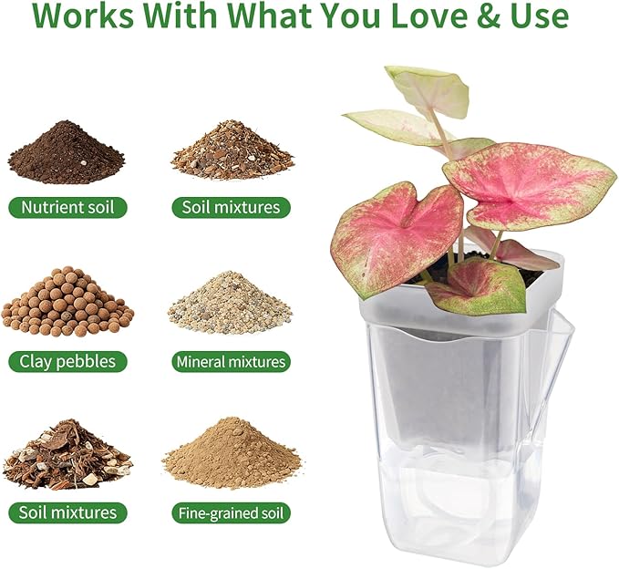 10 Pack 2.5" Self Watering Pots for Indoor Plants, Mini Clear Plastic Planters Water Level Indicator, with Drainage Holes, Cuttings, Seedlings, Herbs, African Violets