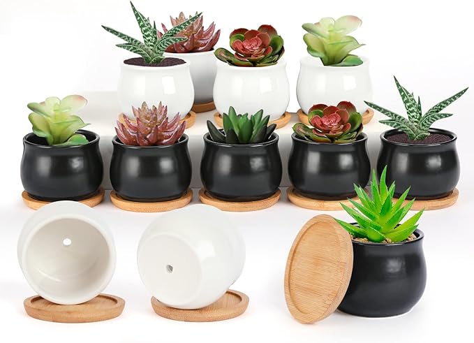 SHECIPIN 12 Pack Succulent Plant Pot, Mini 2.6 inch Ceramic Flower Planter Pot with Bamboo Tray, Small Pots for Plants, Plants Not Included （White, Black）