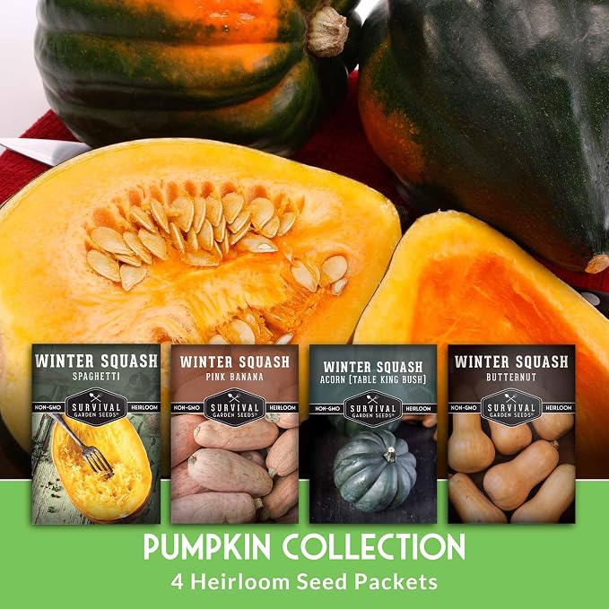 Winter Squash Seeds for Planting - 4 Variety Pack with Butternut, Acorn, Spaghetti & Pink Banana - Heirloom, Open Pollinated Seed - Long-Term Food Storage Vegetables - Survival Garden Seeds