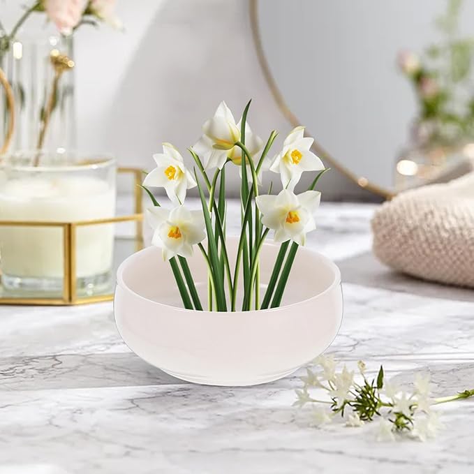 Toddmomy Ceramic Hydroponic Planter Pot 6.49X5.70X2.55 Inch Lotus Bowl for Indoor Succulents Coin Grass Water Lily Decorative Garden Container