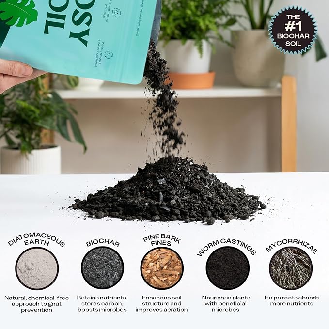 Rosy Soil Houseplant Potting Soil, Organic Indoor Potting Mix with Biochar and Worm Castings for Monstera, Pothos, Tropical Indoor Plants - Peat Free - 8qt