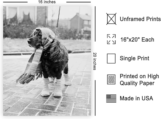 Poster Master Vintage Dog Dressed