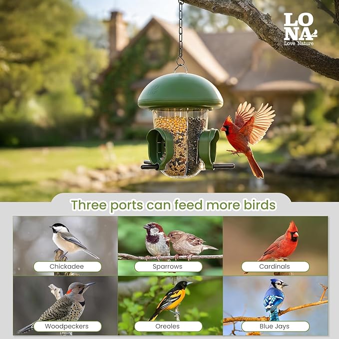LONA Bird Feeders for Outdoors Hanging – 3 Separate Compartments, 3 Feeding Ports, Weatherproof Dome & 3 Ways to Hang, Large Capacity for Cardinals/Finches (Green