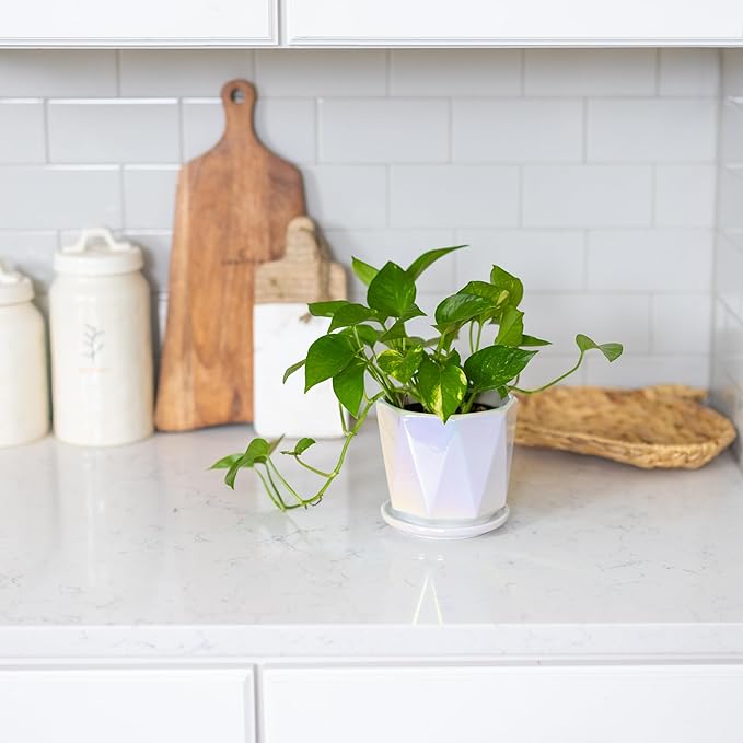 Coco Andrea Ceramic Plant Pots for Indoor Plants with Drainage & Saucers - 5-inch Iridescent White Planters for Houseplants, Succulents & Flowers - 2-Piece Housewarming Gift Set (2, Large)
