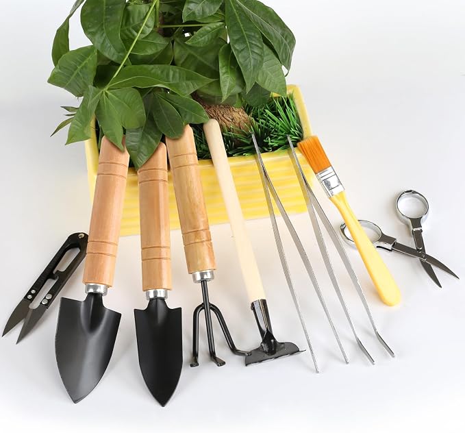 9PCS Basic Bonsai Tools Set, Bonsai Tree Kit Mini Garden Tools Includes Pruning Shears, Mini Rake, Fold Scissors and More