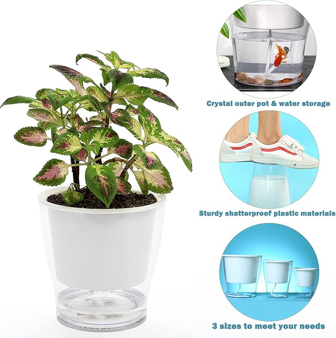 5-Pack 4.3 Inches Clear Self-watering Pots Small African Violet Planters Plastic Plant Pots Wicking Flower Pots for Indoor Plants, Herbs, African Violet, Ocean Spider Plant, Orchid Pot, Garden Pots