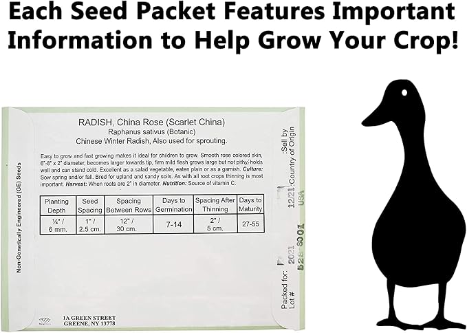 Set of 30 Vegetable and Herb Seeds - Semi Assorted - 100% Non-GMO & Heirloom - Great for Starting a Garden! High Germination Rate! (30)