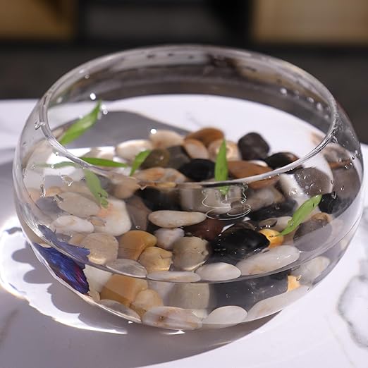 20LB Polished River Rocks for Plants with Mixed Colors 1/4-5/8Inch Decorative Natural River Stones Pebbles for Outdoor Small Stones Gravels for Home Decoration