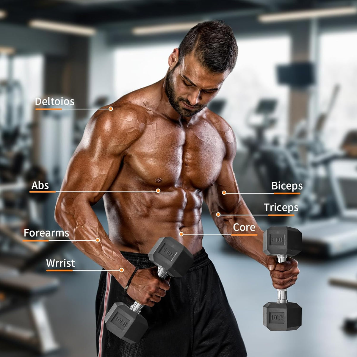 Rubber Hex Dumbbell Set | 15 lb - 550 lb Heavy-Duty Free Weights for Home Gym Strength Training