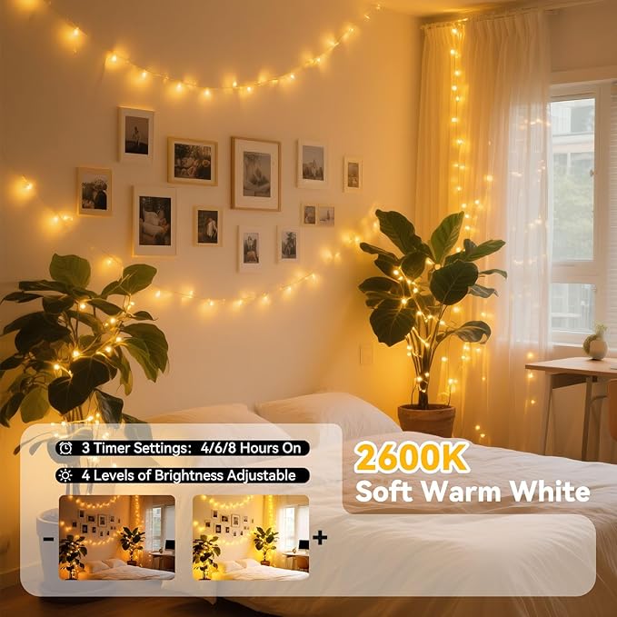 LitHome 200LED 66FT Led Fairy Lights Plug in, Color Changing Fairy Lights with Remote, 9 Modes Led String Lights Indoor Dimmable, Fairy String Lights for Girls Bedroom Dorm Classroom Christmas Decor