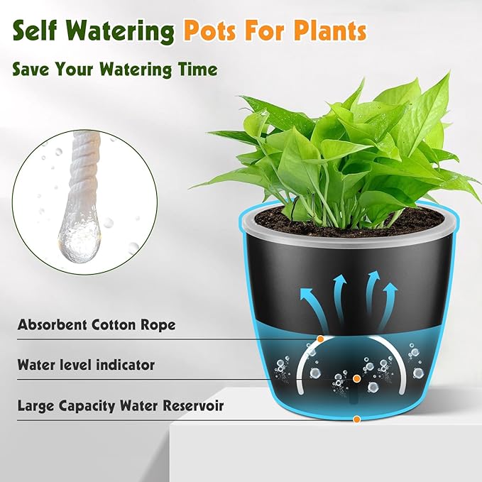 Self Watering Pots for Indoor Plants, 6-Pack 5'' Self Watering Planter with Drainage Holes, Small African Violet Pots with Water Indicator, Clear Wick Orchid Pot, Black