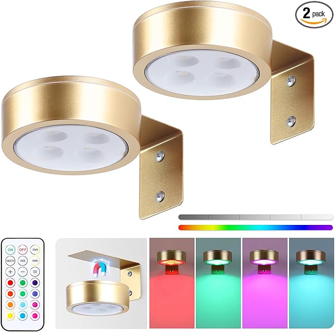 2-Pack Picture Light Battery Operated Painting Lights, 13 Color RGB Magnetic