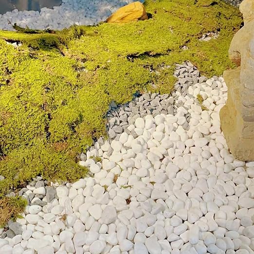 YISZM 10lb White River Rocks, 2-3 Inch Natural Pebbles for Indoor Plants, Snow White Decorative Stones, Ideal for Fish Tank, Vases, Crafting, Home Decor and Garden Landscaping Rocks