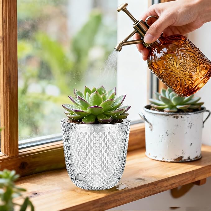 QCQHDU 2 Pack Self Watering Pots, 5.7 Inch Flower Pots with Drainage Holes and Water Filling Port, Plastic Garden Planter for Indoor Outdoor Plants (Clear)